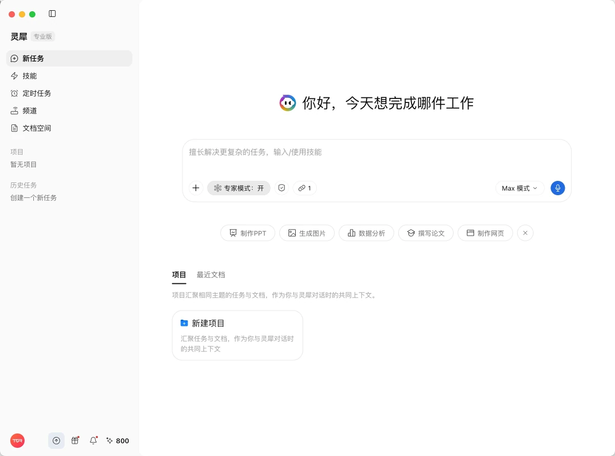 WPS 灵犀专业版首页，展示任务输入框、技能和项目入口